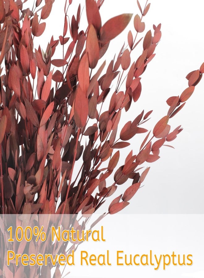 HIAGROW Real Red Eucalyptus Stems Decor 20PCS 16" Dried Willow Eucalyptus Plant Preserved Stems for Home Vase Filler Wedding Flowers Arrangement Decorations - Image 5