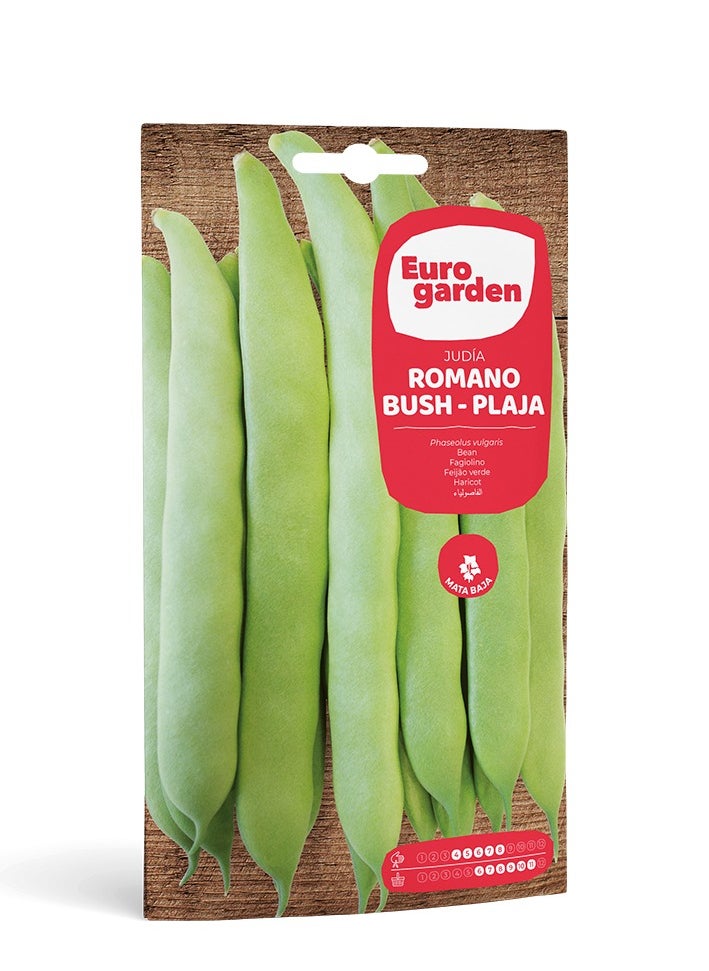 Euro Garden بذور الفاصولياء الرومانية من يوروجاردن - فاصولياء شجيرة سهلة الزراعة وعالية الغلة قم بزراعة الفاصولياء الخاصة بك في المنزل 35 جرامًا  - Image 1