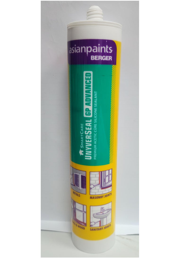 Asian Paints Berger Silicone sealant Smart Care Universal GP advanced premium acetic care Silicone sealant  ( Celera  color )  - Image 1