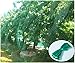 CandyHome CandyHome Green Anti Bird Protection Net Mesh Garden Plant Netting Protect Seedlings Plants Flowers Fruit Trees  - Image 2