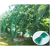 CandyHome CandyHome Green Anti Bird Protection Net Mesh Garden Plant Netting Protect Seedlings Plants Flowers Fruit Trees  - Image 1