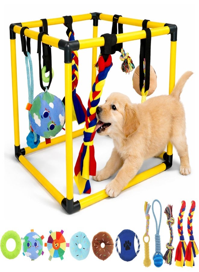 Podoy Interactive Dog Play Gym for Puppies, Puppy Activity Play Center with 11 Hanging Toys, Early Training & Mental Stimulation Toy for Small Dogs - Image 1