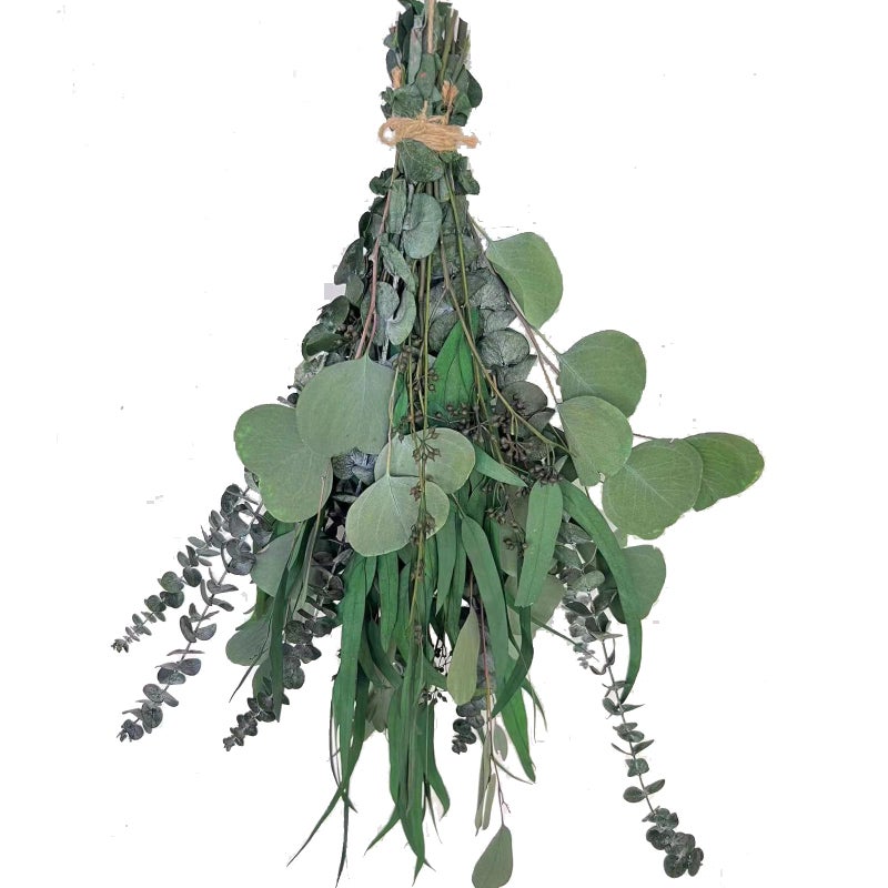 22 PCS Dried Eucalyptus for Shower Bundle 17 Real Large Preserved Eucalyptus Stems Shower Plants for Hanging Fresh Eucalyptus Leaves Fragrance DIY Artificial Plant Home SPA Bathroom Vase decor
