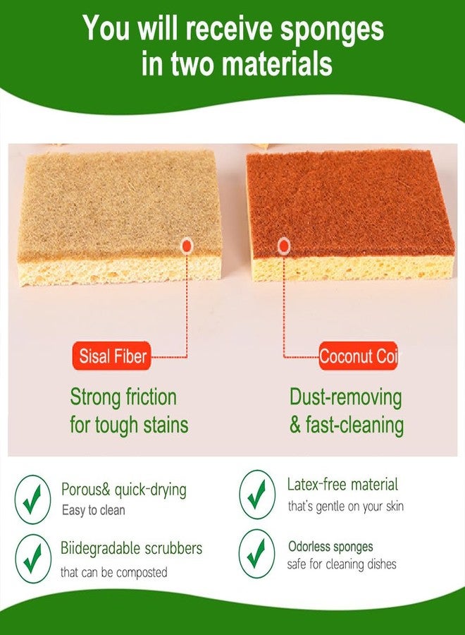 Elfzone Natural Sponges for Dishes - Natural Dish Sponge, Palm Fiber Scrubbing Sponge with Non Scratch Biodegradable Sponges 12 Pack - Image 2