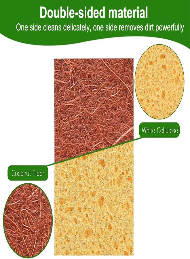 Elfzone Natural Sponges for Dishes - Natural Dish Sponge, Palm Fiber Scrubbing Sponge with Non Scratch Biodegradable Sponges 12 Pack - Image 3