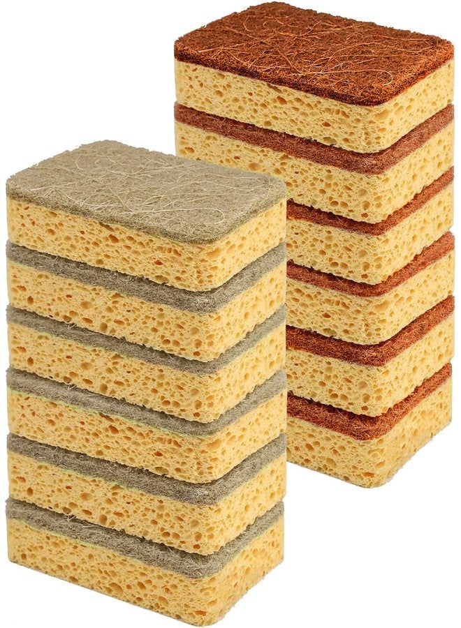 Elfzone Natural Sponges for Dishes - Natural Dish Sponge, Palm Fiber Scrubbing Sponge with Non Scratch Biodegradable Sponges 12 Pack - Image 1
