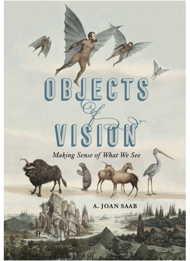 Objects of Vision : Making Sense of What We See 