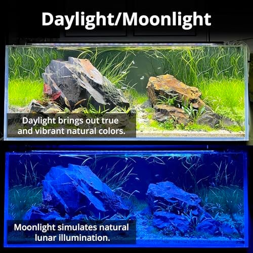 NICREW C10 Plants LED Aquarium Light, 12-18 in, 9 Watts, Full Spectrum Fish Tank Light with Timer, Day and Night Cycle, Brightness Adjustable - Image 2