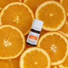 Young Living Vitality Orange Essential Oil 5ml Bottle - Zesty and Refreshing Citrus Flavor - 100% Pure and Natural - Cold-Pressed and Fresh - 100% Pure and Therapeutic Grade - Image 2