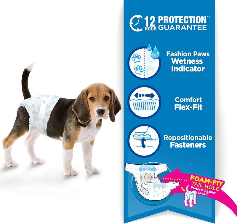 four paws Affordable fast purchase options Wee-Wee Super Absorbent Disposable Adjustable Dog Potty Training Diapers, Leak-Proof Protection for Puppies and Medium Dogs, Extra Small, 36 Count Trendy widespread design - Image 3