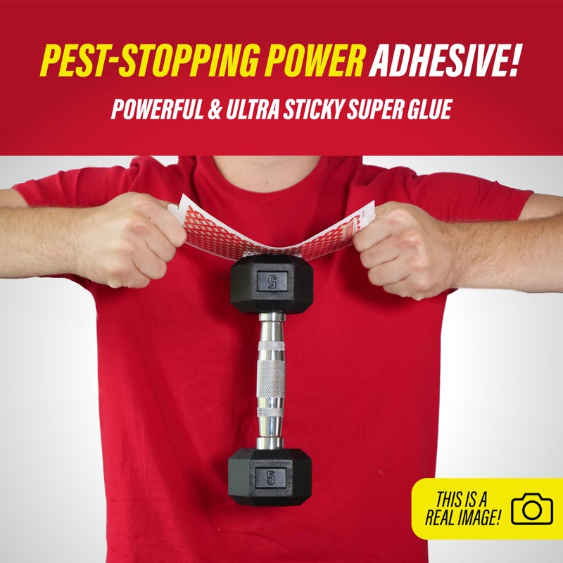 Catchmaster Mouse & Insect Glue Boards 60pk, Mouse Traps Indoor for Home, Adhesive Bug Catcher, Rat & Rodent Sticky Trap, Bulk Glue Traps Used by Pros, Pest Control for Home - Image 4