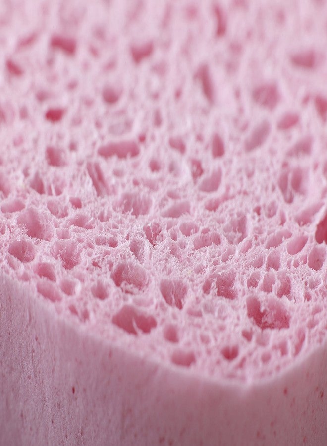 سبونتكس إسفنجة سبونتكس العملية (عبوة من 6 قطع) - Image 3