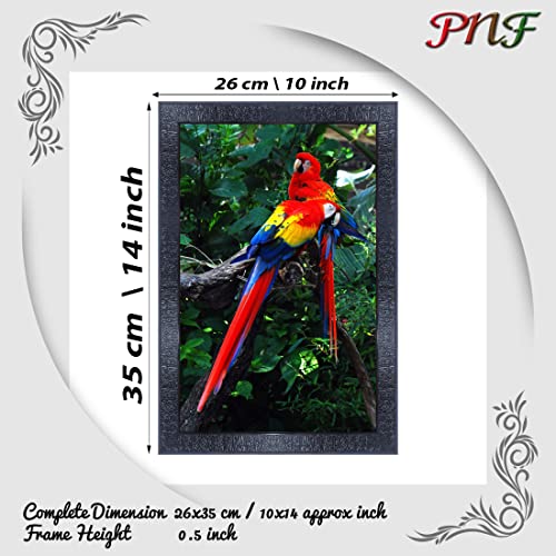 pnf Poster And Frames Parrot Framed Wall Painting | For Living Room, Bedroom | Home Decoration Item | Best Gifting Option (10 * 14inch,Multicolour,Synthetic) 7301 - Image 2