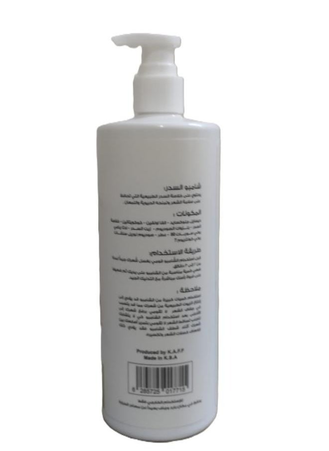 Shampoo Alsider 500ml - pzsku/Z7724FB2C140080144944Z/45/_/1738596569/71f62a73-8010-404b-9f93-87205d04a08a