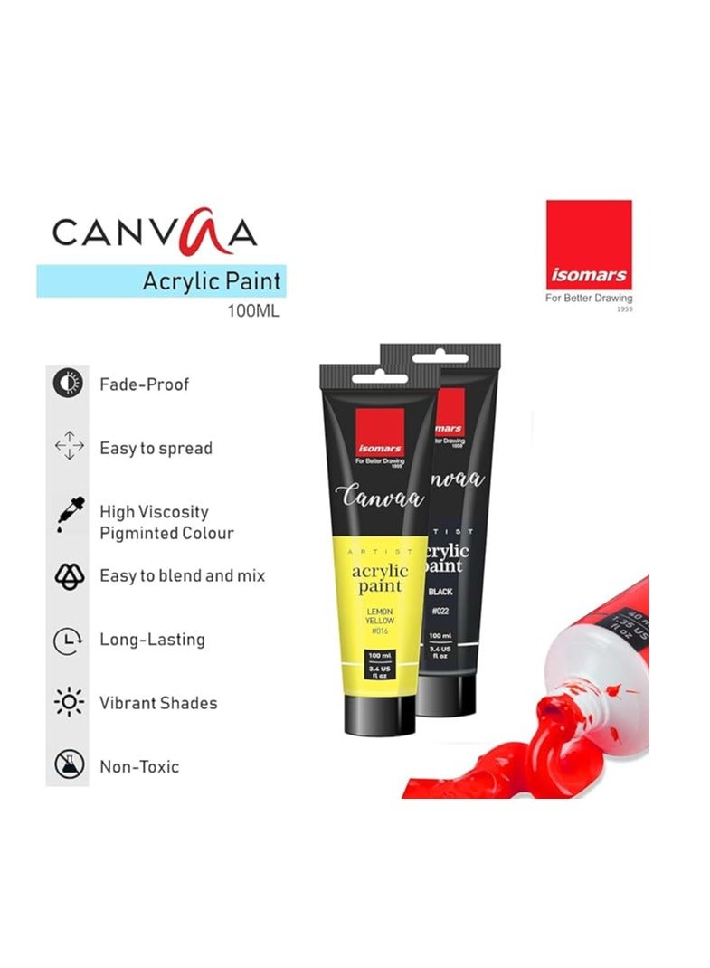 Isomers Canvaa Acrylic Paint 100ml Vibrant Pigmented & Fadeproof Colors - ARTIST SERIES - For Canvas Painting, Scrap Book, Paper Board, Wood & Terracotta Titinum White - Image 2
