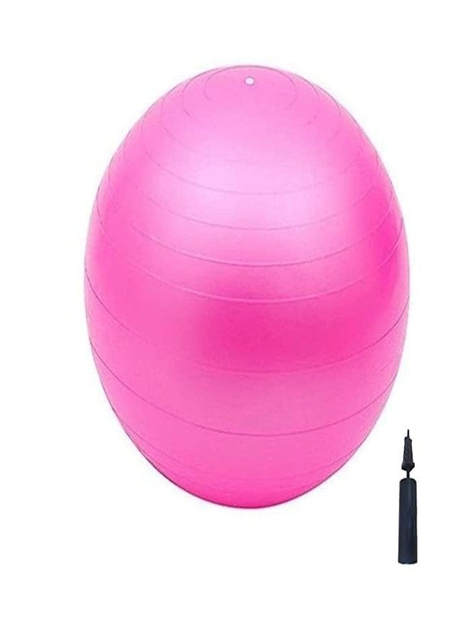 RAIYARAJ Exercise Gym Ball Anti-Burst, Anti-Slip Balance Stability Ball, Heavy Duty Fitness Yoga Ball - Image 3