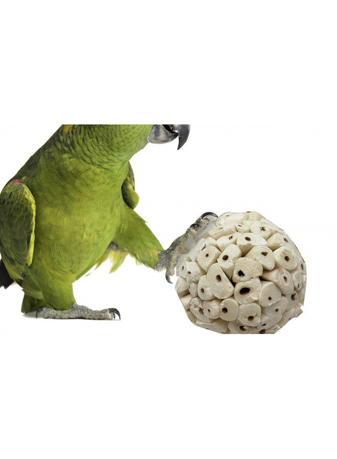 Bonka Bird Toys Bonka Bird Toys 1214 pk3 Sola Atta Balls Foot Beak Chew Forage Natural Organic Small Pet Ball - Image 2