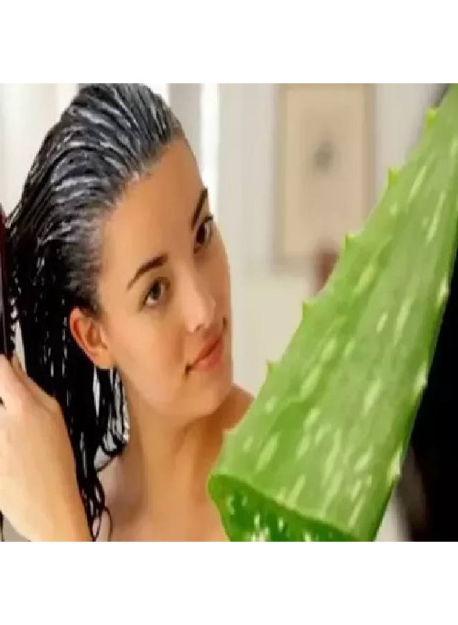 KAZIMA Combo of Aloe Vera Gel 1Kg & Castor Carrier Oil 15ml 100% Pure & l for Skin Face Acne Scars Hair Moisturizer & Dark Circles (Combo of 2)  - Image 3