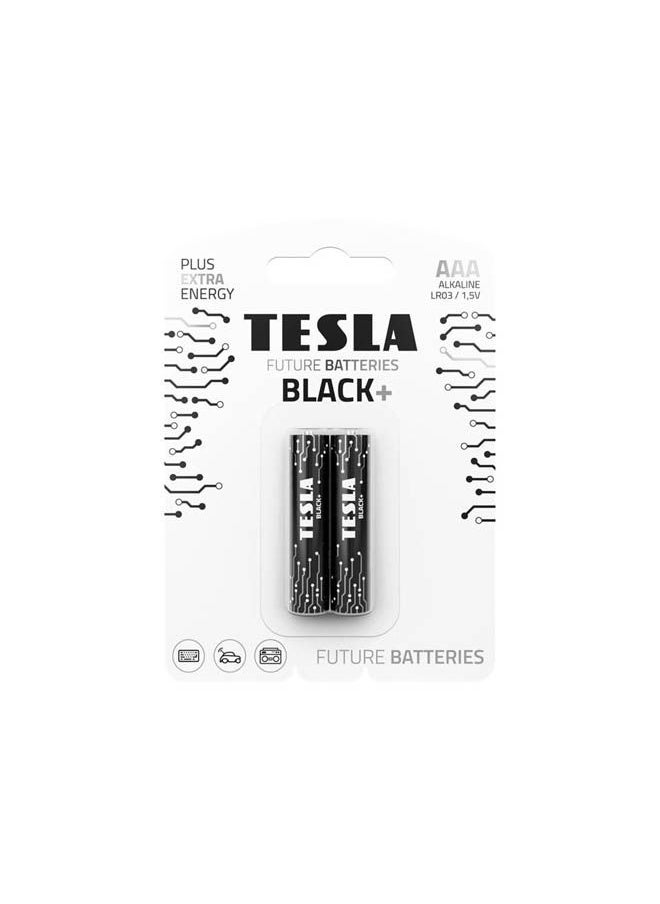 Batteries Aaa+ Lr03 / Blister Foil 2 Pcs