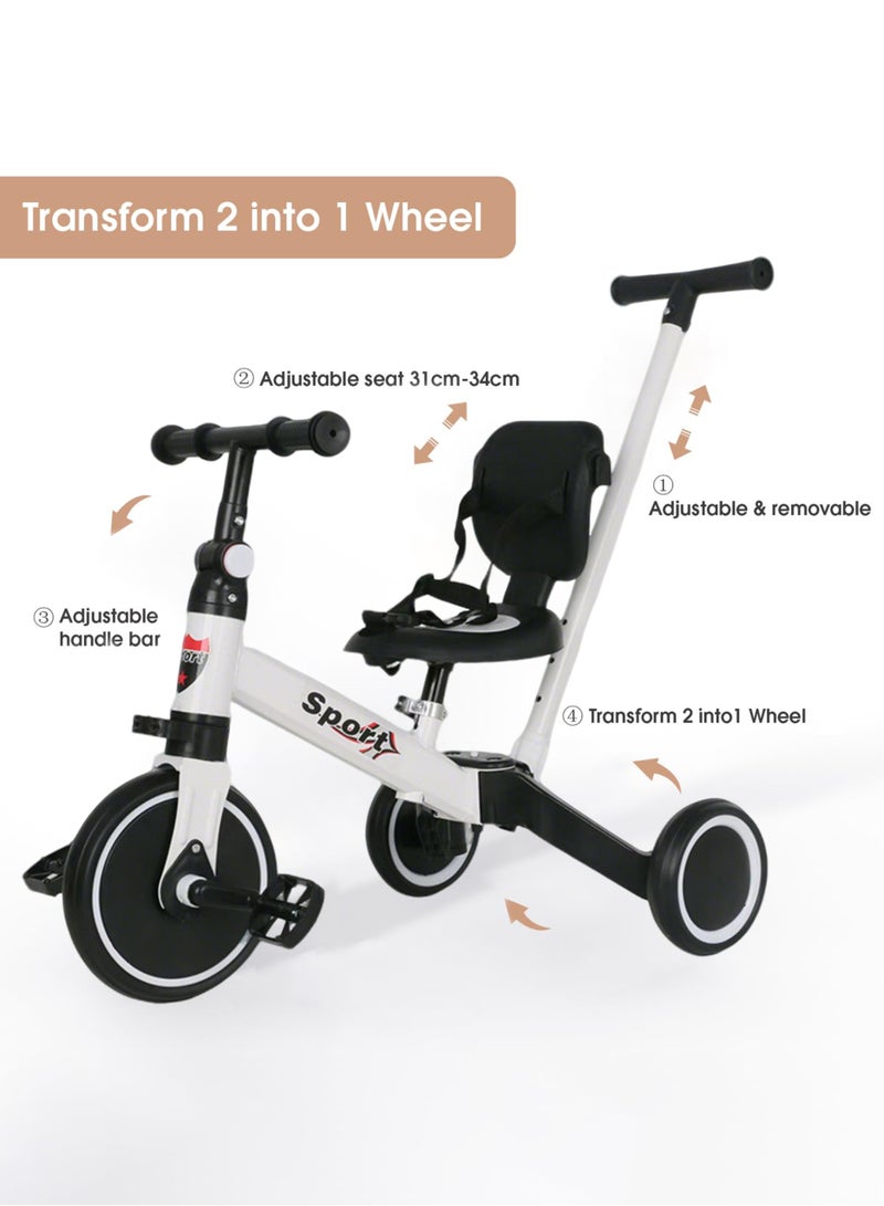 Paka Rabbit Toddler Tricycle with Push Handle for 2-6 Year Old, Toddler Bike, Birthday Gift and Toy for Boys and Girls, 5 in 1 Kids Trike, Balance Bike with Backrest and Safety Belt  - Image 3