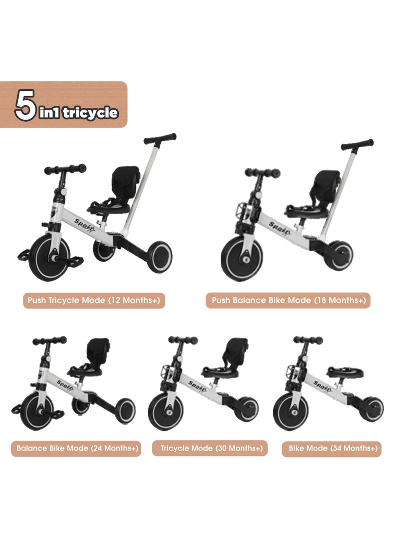 Paka Rabbit Toddler Tricycle with Push Handle for 2-6 Year Old, Toddler Bike, Birthday Gift and Toy for Boys and Girls, 5 in 1 Kids Trike, Balance Bike with Backrest and Safety Belt  - Image 2
