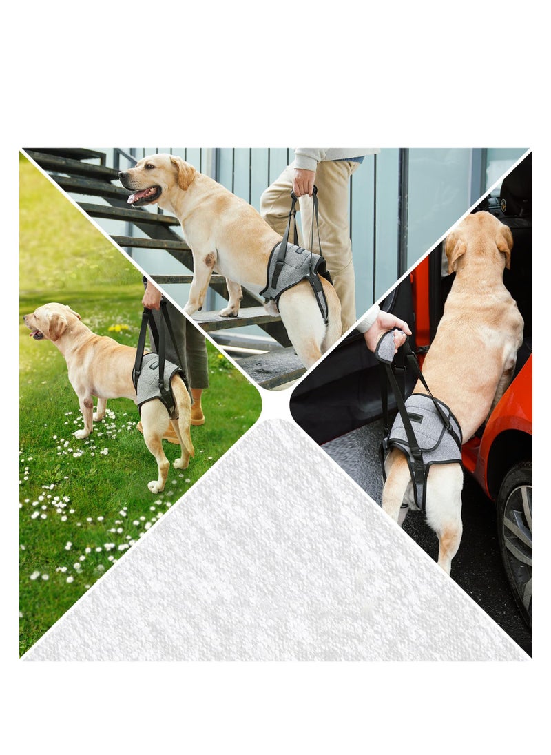 SYOSI - Dog Lift Harness, Dog Sling for Medium Large Dogs, Adjustable Dog Support Harness for Back Legs, Comfy Design Pet Harness with Padded for Elderly, Injured, Arthritic, Senior, Disabled Dogs - Image 1
