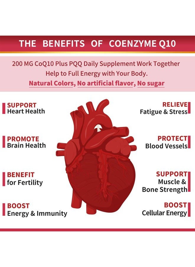 ZEBORA CoQ10-200mg-Softgels with PQQ, BioPerine & Omega-3, 120 Servings Coenzyme Q10(Ubiquinone) Supplement for High-Absorption, Powerful-Antioxidant, Support Heart & Energy-Production - Image 4