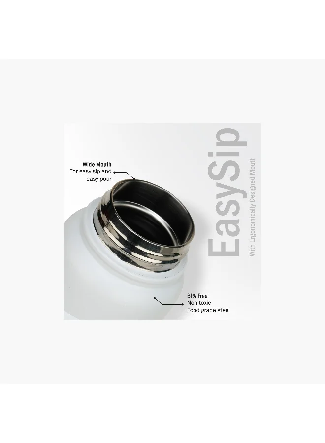 Briiton 750ML SS INSULATED BOTTLE