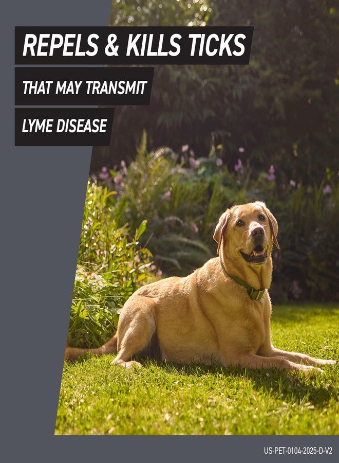 FRONTLINE Shield Flea & Tick Treatment for Medium Dogs 21-40 lbs. Count of 6 - Image 5