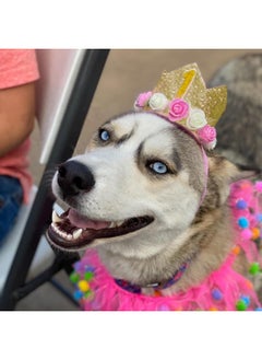 Rimobul Rimobul Pet Crown Hat Dog Birthday Hat Reusable Birthday Party Crown for Pet Girl Cat Doggie Headband Hats with 0-9 Figures Charms Pet Gift Grooming Accessories with Glue Dots Pack of 1(Gold)  - Image 5