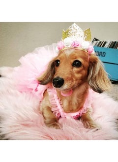 Rimobul Rimobul Pet Crown Hat Dog Birthday Hat Reusable Birthday Party Crown for Pet Girl Cat Doggie Headband Hats with 0-9 Figures Charms Pet Gift Grooming Accessories with Glue Dots Pack of 1(Gold)  - Image 4
