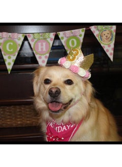 Rimobul Rimobul Pet Crown Hat Dog Birthday Hat Reusable Birthday Party Crown for Pet Girl Cat Doggie Headband Hats with 0-9 Figures Charms Pet Gift Grooming Accessories with Glue Dots Pack of 1(Gold)  - Image 3