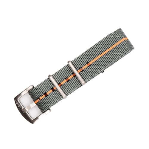 حزام ساعة مقاوم للماء بأسلوب عسكري من مجموعة بلو شارك الأصلية 22 مم، يناسب جميع ماركات الساعات، إكسسوارات ساعة متينة من النايلون مع مشبك من الفولاذ المقاوم للصدأ رمادي فوكس