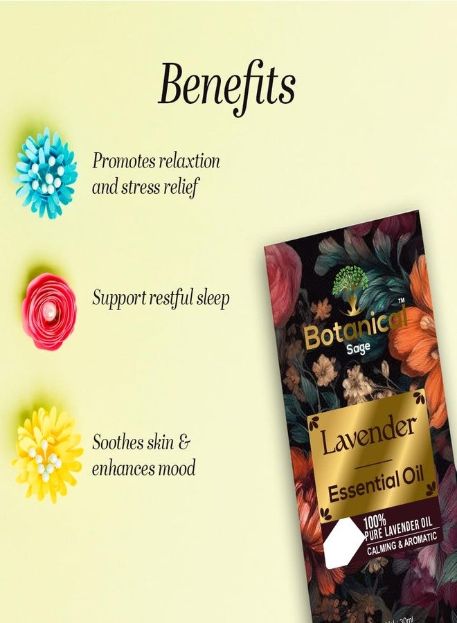 Botanical Sage زيت اللافندر العطري - مستخلص المريمية النباتية لنمو الشعر، والعناية بالبشرة، والوجه، والعلاج العطري للرجال والنساء، 30 مل - Image 4