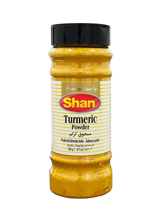 Shan Turmeric Powder 190gm - Bottle - Image 1