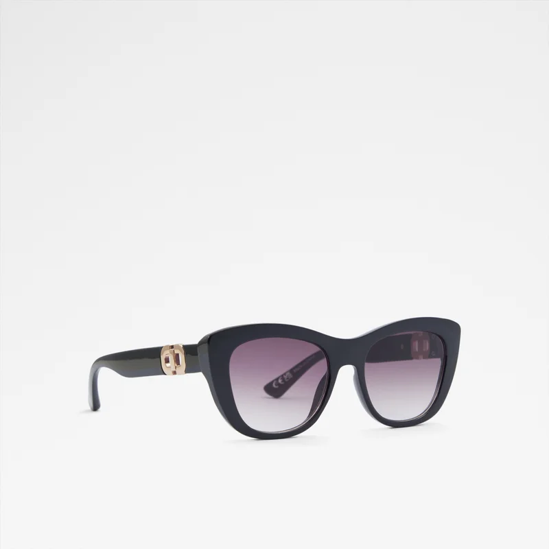 ALDO Ramzy Wayfarers Sunglasses
