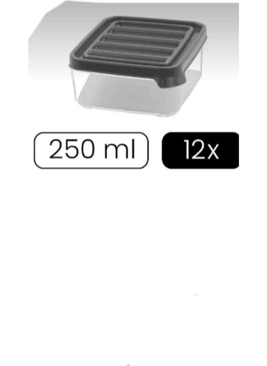 Vzn - Storage Container 250 ml 12 pieces breakfast storage container freezer storage container - Image 1