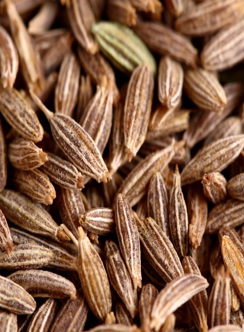 Jeera, Cumin (Cuminum cyminum) Seeds (50)