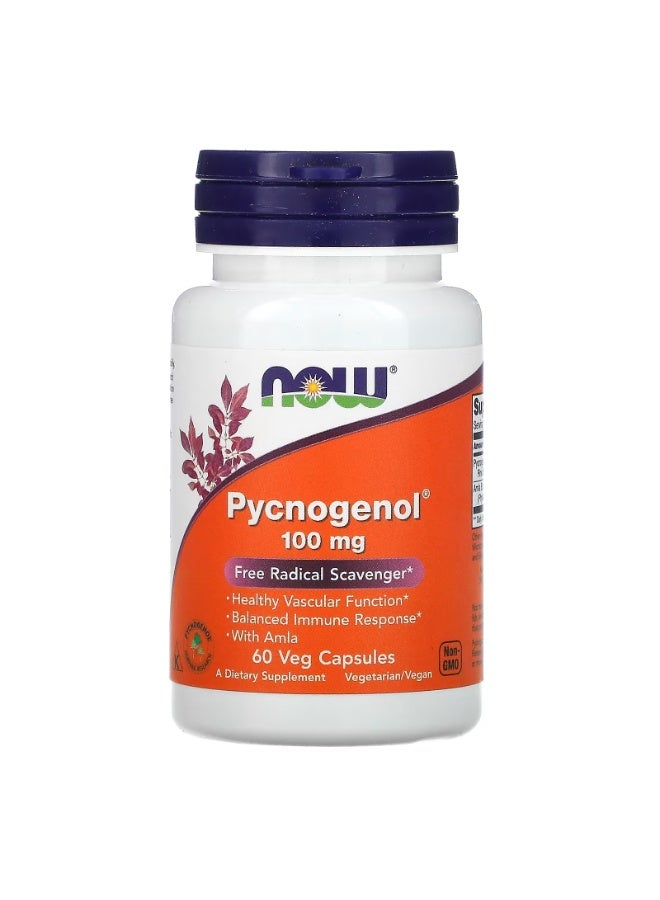 ناو فودز‏, Pycnogenol®‎ مع الأملج، 60 كبسولة نباتية - Image 2