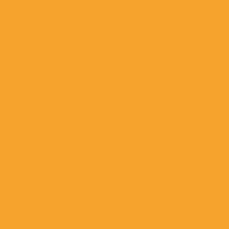 FABER-CASTELL Faber-Castell POLYCHROMOS ARTIST COLOUR PENCILS DARK CHROME YELLOW - Image 2