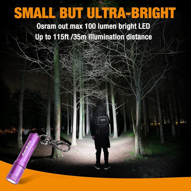 EverBrite Keychain LED Flashlight Mini Bright Key Ring Portable Pocket Torch for EDC, Party Favors, Night Reading, Camping, Power Outage, Emergency, AAA Battery Included, Purple - Image 4