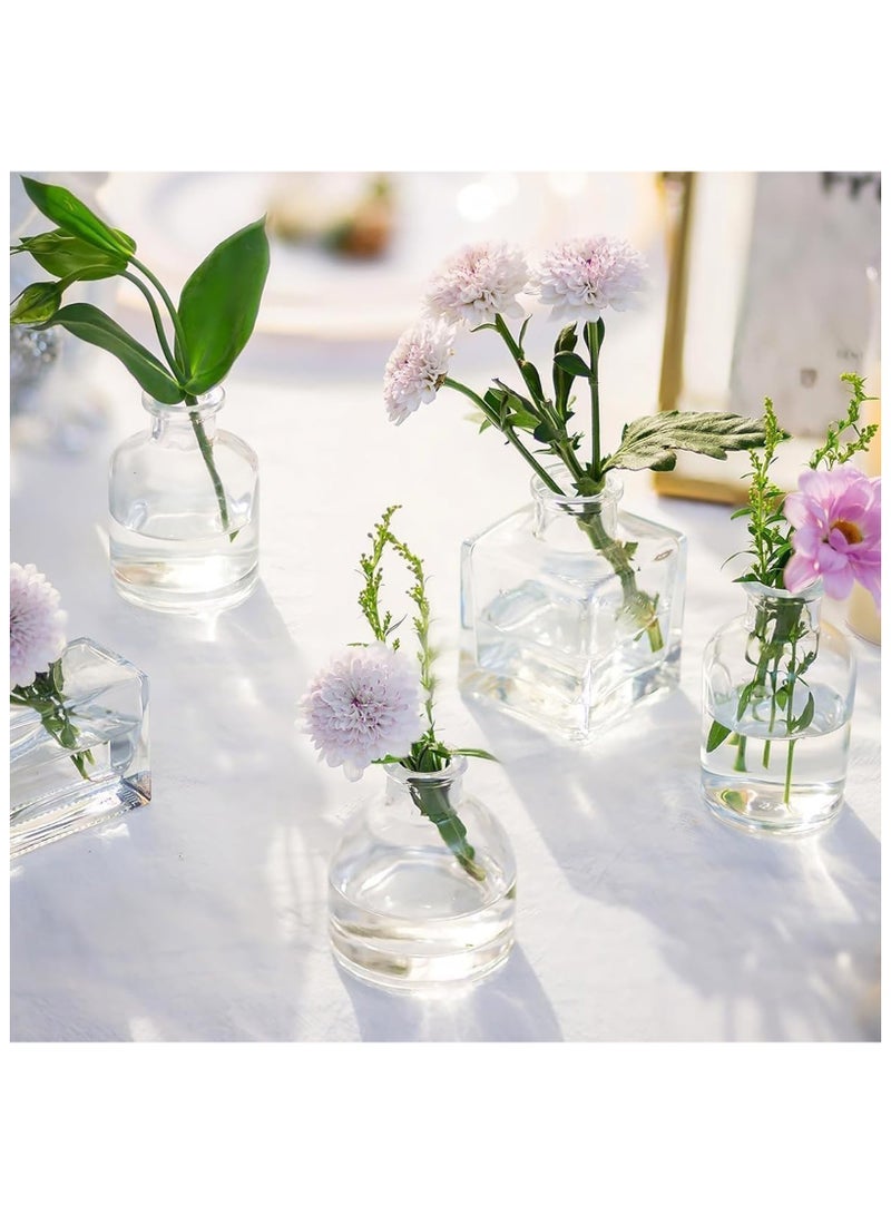 فوك مجموعة 5 مزهريات زجاجية شفافة صغيرة - مزهريات زهور لديكور حفلات الزفاف والطاولات والمطاعم - Image 4