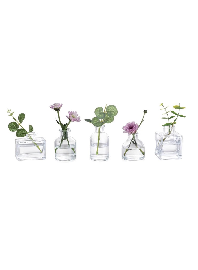 فوك مجموعة 5 مزهريات زجاجية شفافة صغيرة - مزهريات زهور لديكور حفلات الزفاف والطاولات والمطاعم - Image 1