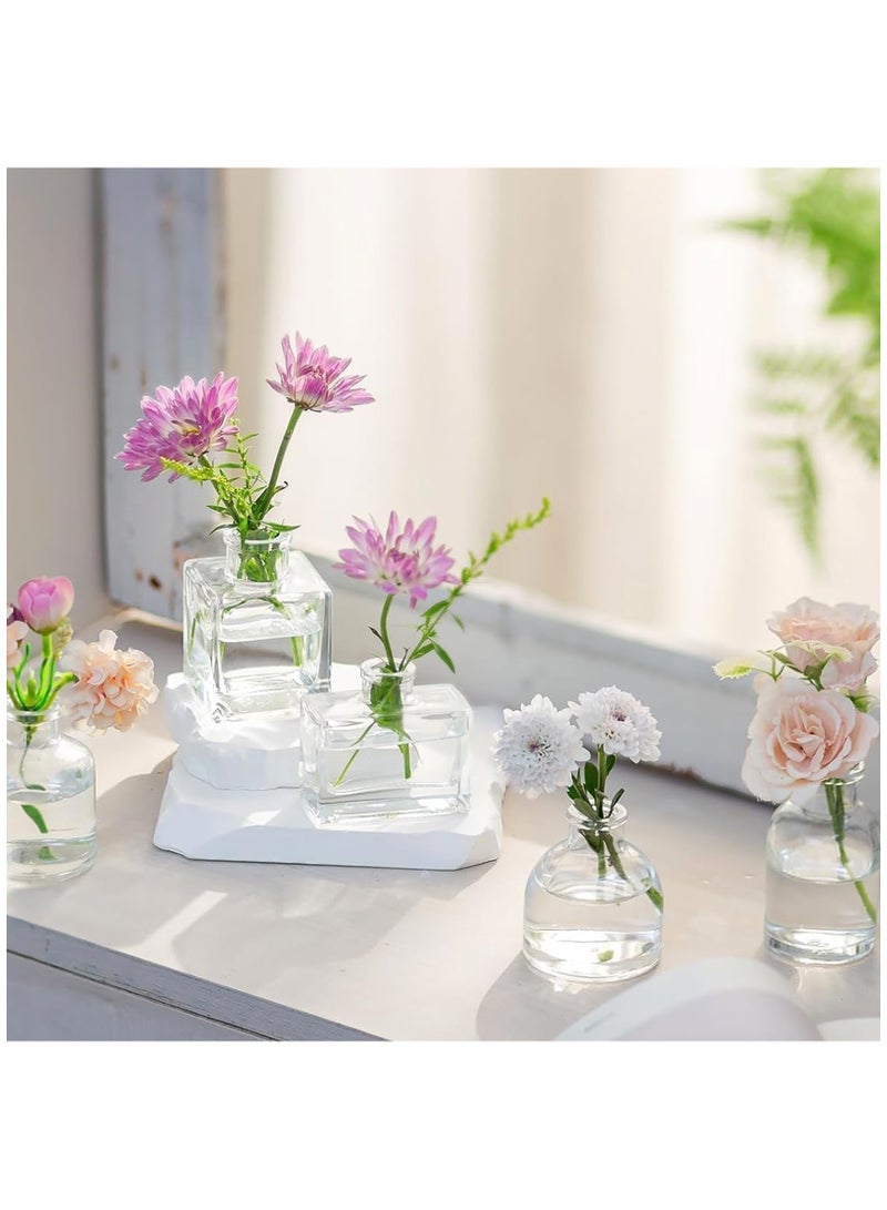 فوك مجموعة 5 مزهريات زجاجية شفافة صغيرة - مزهريات زهور لديكور حفلات الزفاف والطاولات والمطاعم - Image 5