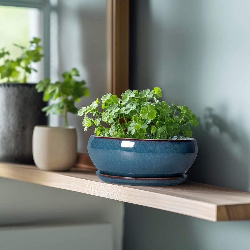 SQOWL Bonsai Pots - 8 Inch Ceramic Succulent Pots with Drainage Hole and Saucer, Round Shallow Planter for Indoor Outdoor Plants Flowers, Ceramic Planter Bowl, Room Decor, Gardening Gifts, Blue - Image 5