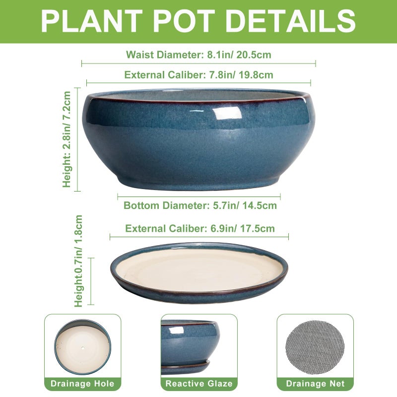 SQOWL Bonsai Pots - 8 Inch Ceramic Succulent Pots with Drainage Hole and Saucer, Round Shallow Planter for Indoor Outdoor Plants Flowers, Ceramic Planter Bowl, Room Decor, Gardening Gifts, Blue - Image 2