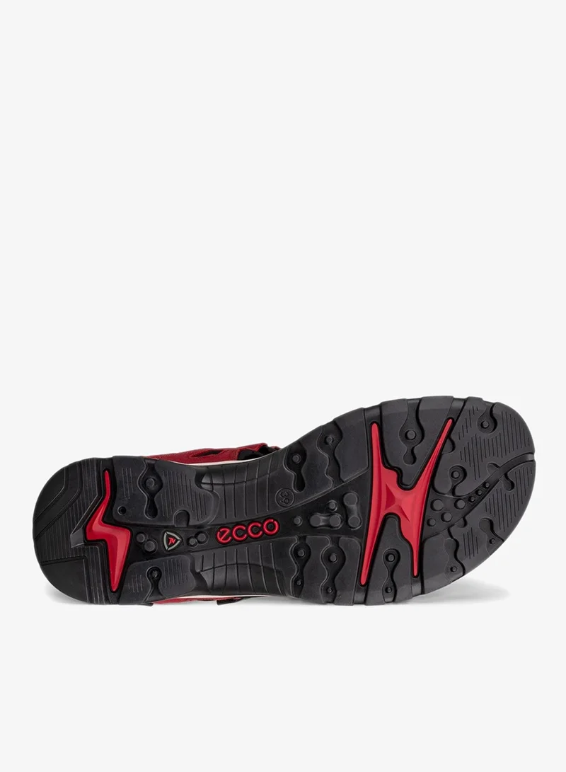 ECCO  ECCO Offroad Brick for Women | Best Price UAE