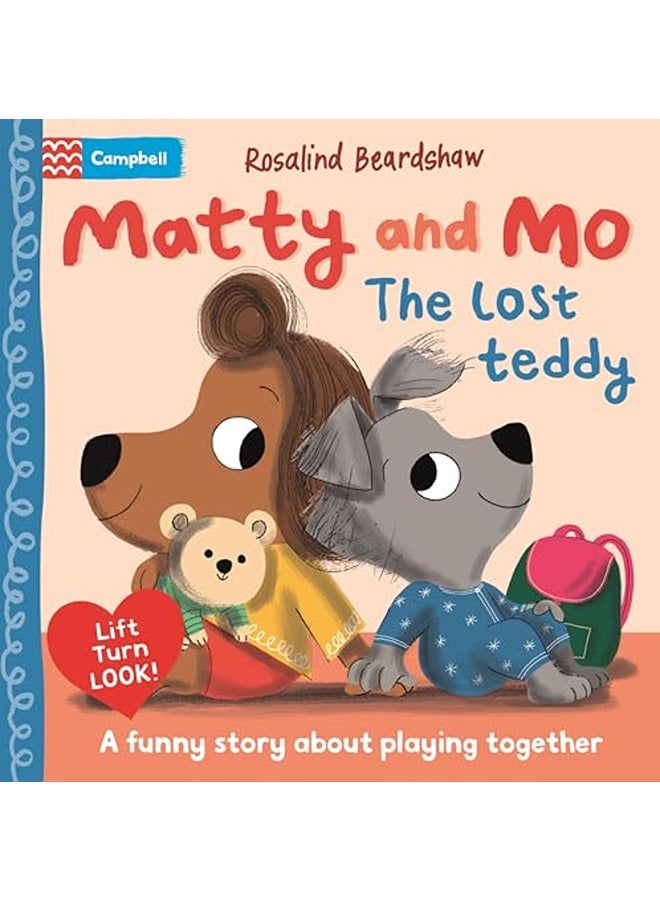 The Lost Teddy: A funny lift-the-flap story about learning to play together