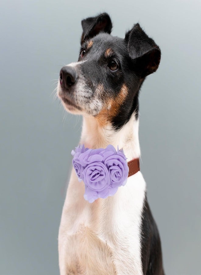 Styquenzer أزهار طوق الكلاب، 6 قطع من ربطات شعر الكلاب للكلاب الكبيرة والجراء والصغيرة والمتوسطة والكبيرة والقطط والألبكة والأرانب الأليفة، إكسسوارات طوق الكلاب، ربطات شعر رقبة الحيوانات الأليفة، ملحقات طوق التزيين - Image 5