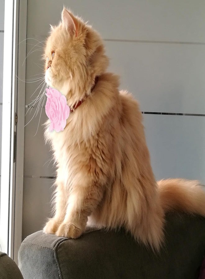 Styquenzer أزهار طوق الكلاب، 6 قطع من ربطات شعر الكلاب للكلاب الكبيرة والجراء والصغيرة والمتوسطة والكبيرة والقطط والألبكة والأرانب الأليفة، إكسسوارات طوق الكلاب، ربطات شعر رقبة الحيوانات الأليفة، ملحقات طوق التزيين - Image 3